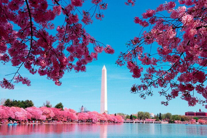 DC in a Day: 10+ Monuments, Boat Cruise, National Mall, Tickets - Photo 1 of 15